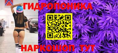 jwh Дубна