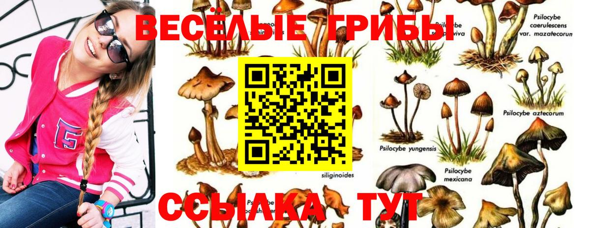 Лабинск  Галлюциногенные грибы Psilocybe  Вход с VPN 